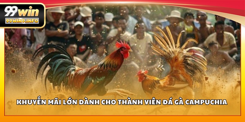 Khuyến mãi lớn dành cho thành viên Đá Gà Campuchia 