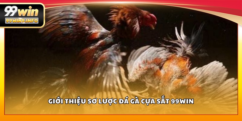 Giới thiệu sơ lược đá gà cựa sắt 99WIN
