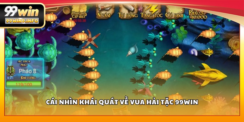 Cái nhìn khái quát về Vua Hải Tặc 99WIN